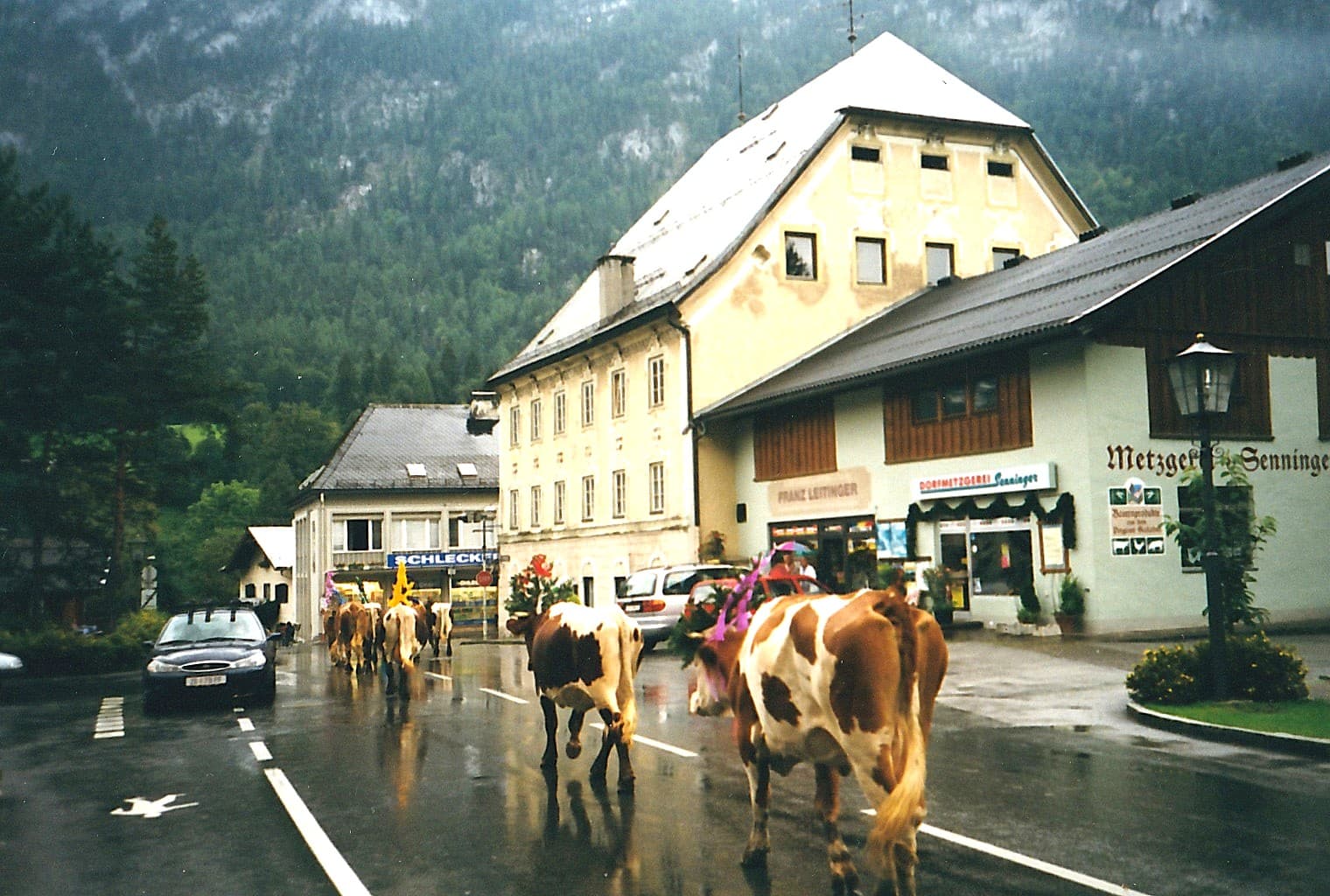 Damals 6